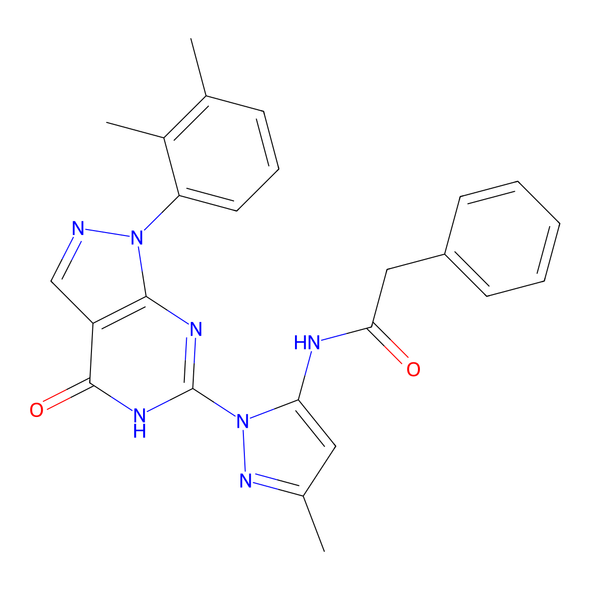 N-(1-(1-(2,3-dimethylphenyl)-4-oxo-4,5-dihydro-1H-pyrazolo[3,4-d]pyrimidin-6-yl)-3-methyl-1H-pyrazol-5-yl)-2-phenylacetamide molecular structure, CAS 1172820-47-1