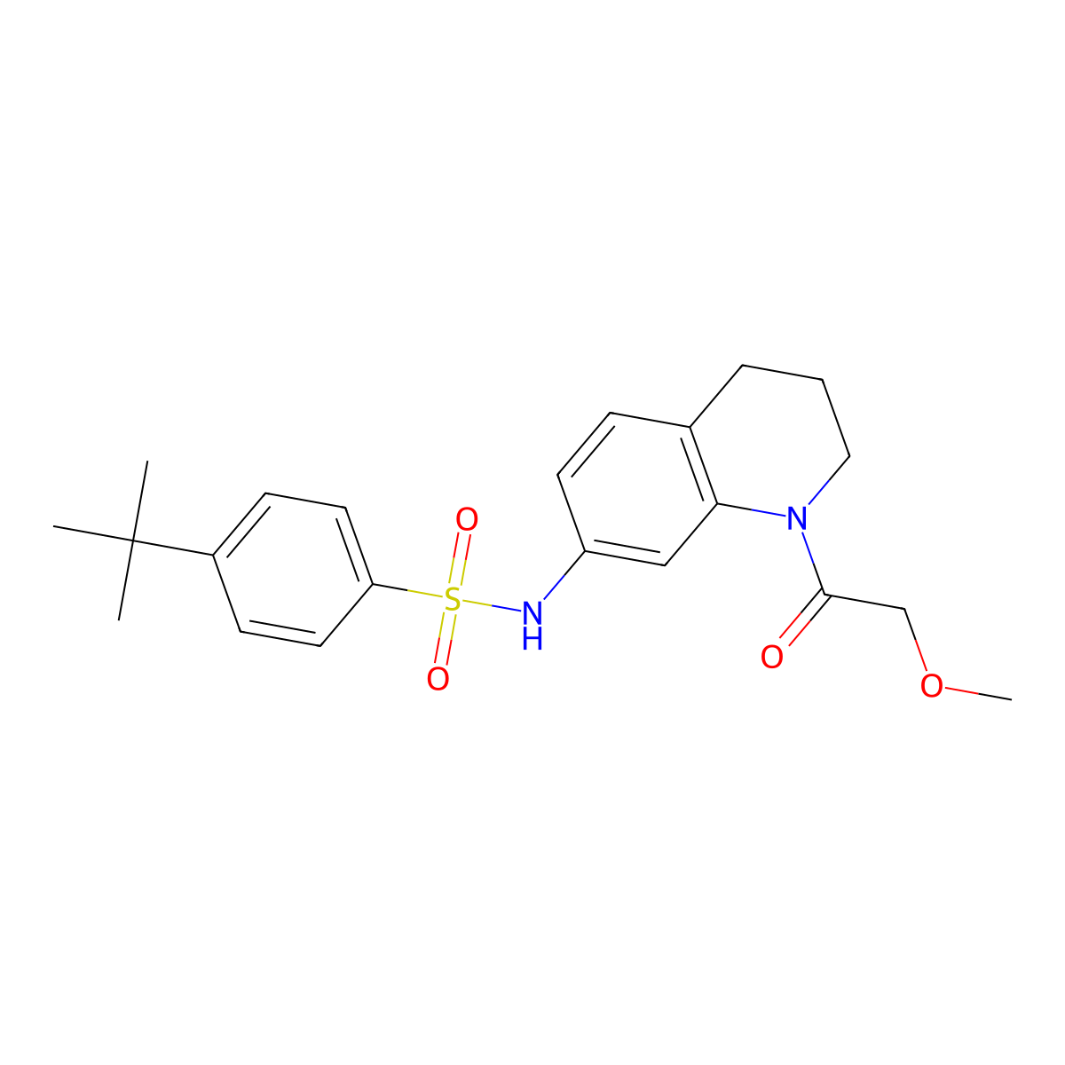 4-(tert-butyl)-N-(1-(2-methoxyacetyl)-1,2,3,4-tetrahydroquinolin-7-yl)benzenesulfonamide molecular structure, CAS 1172833-98-5