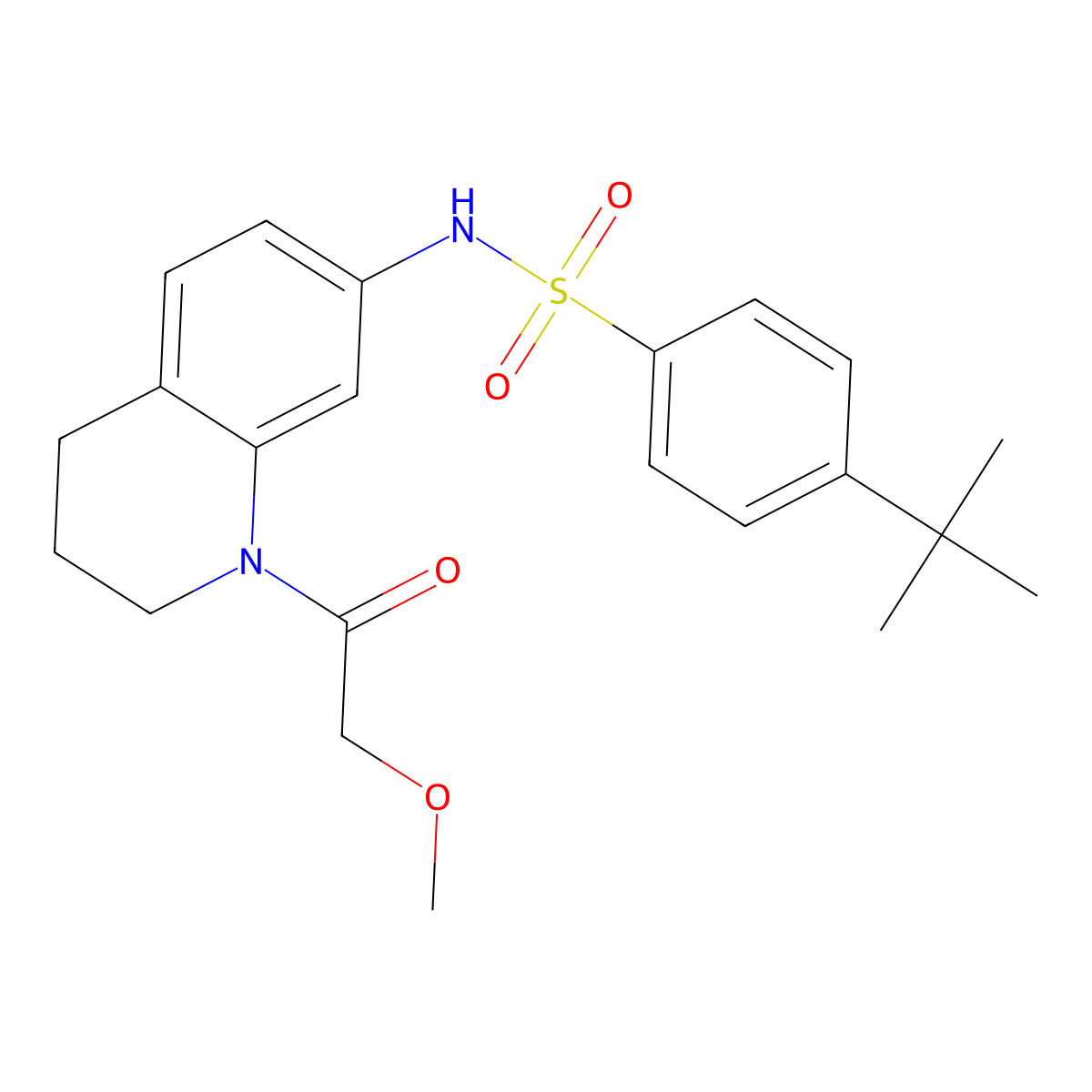 4-(tert-butyl)-N-(1-(2-methoxyacetyl)-1,2,3,4-tetrahydroquinolin-7-yl)benzenesulfonamide molecular structure, CAS 1172833-98-5