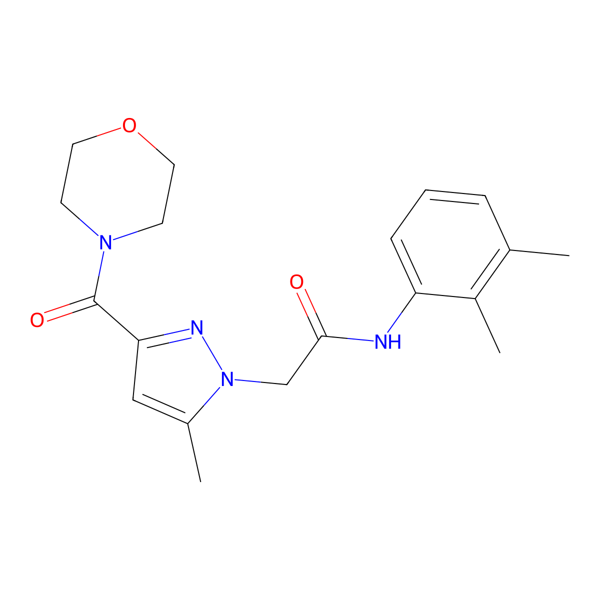 N-(2,3-dimethylphenyl)-2-(5-methyl-3-(morpholine-4-carbonyl)-1H-pyrazol-1-yl)acetamide molecular structure, CAS 1173081-53-2