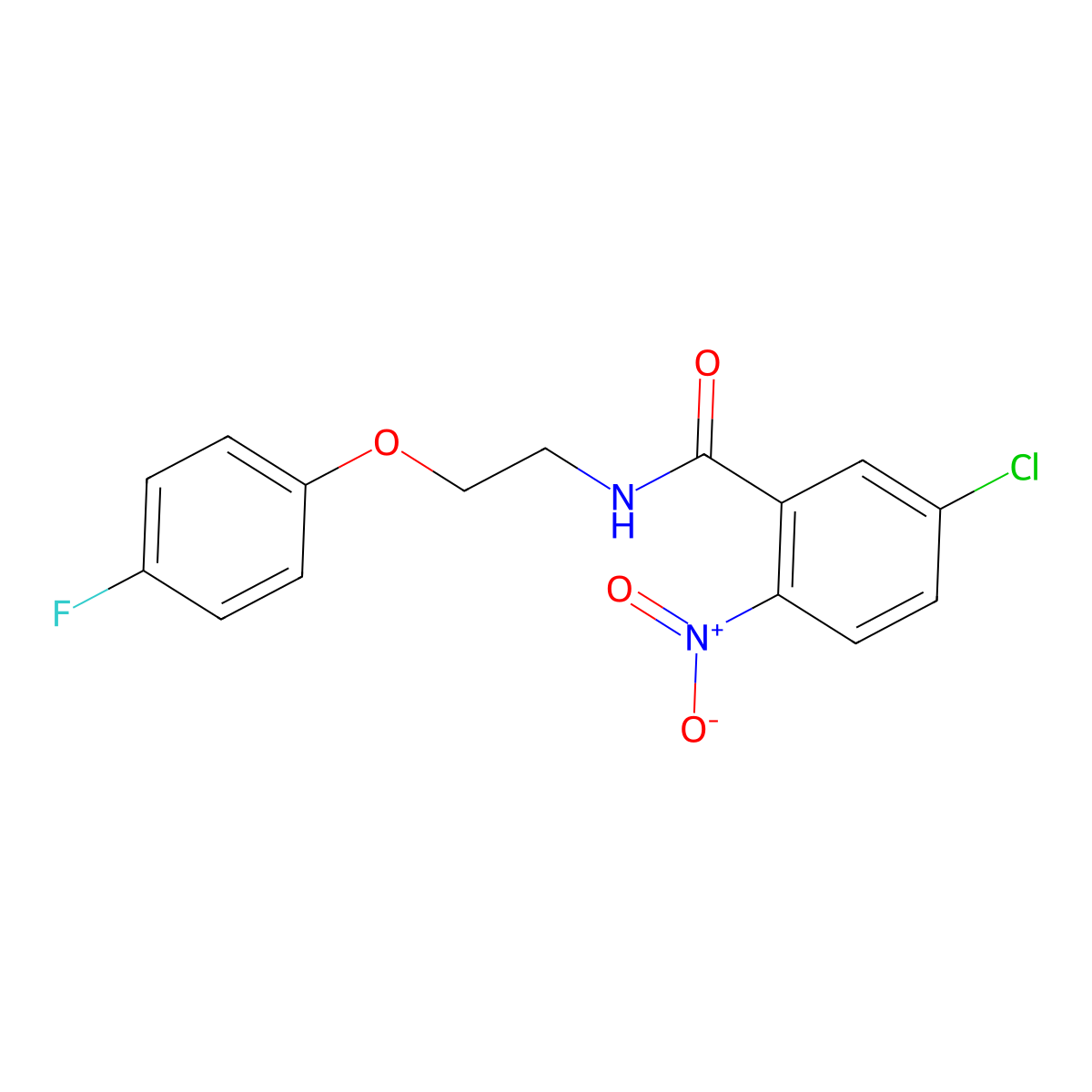 5-chloro-N-[2-(4-fluorophenoxy)ethyl]-2-nitrobenzamide molecular structure, CAS 1173249-41-6