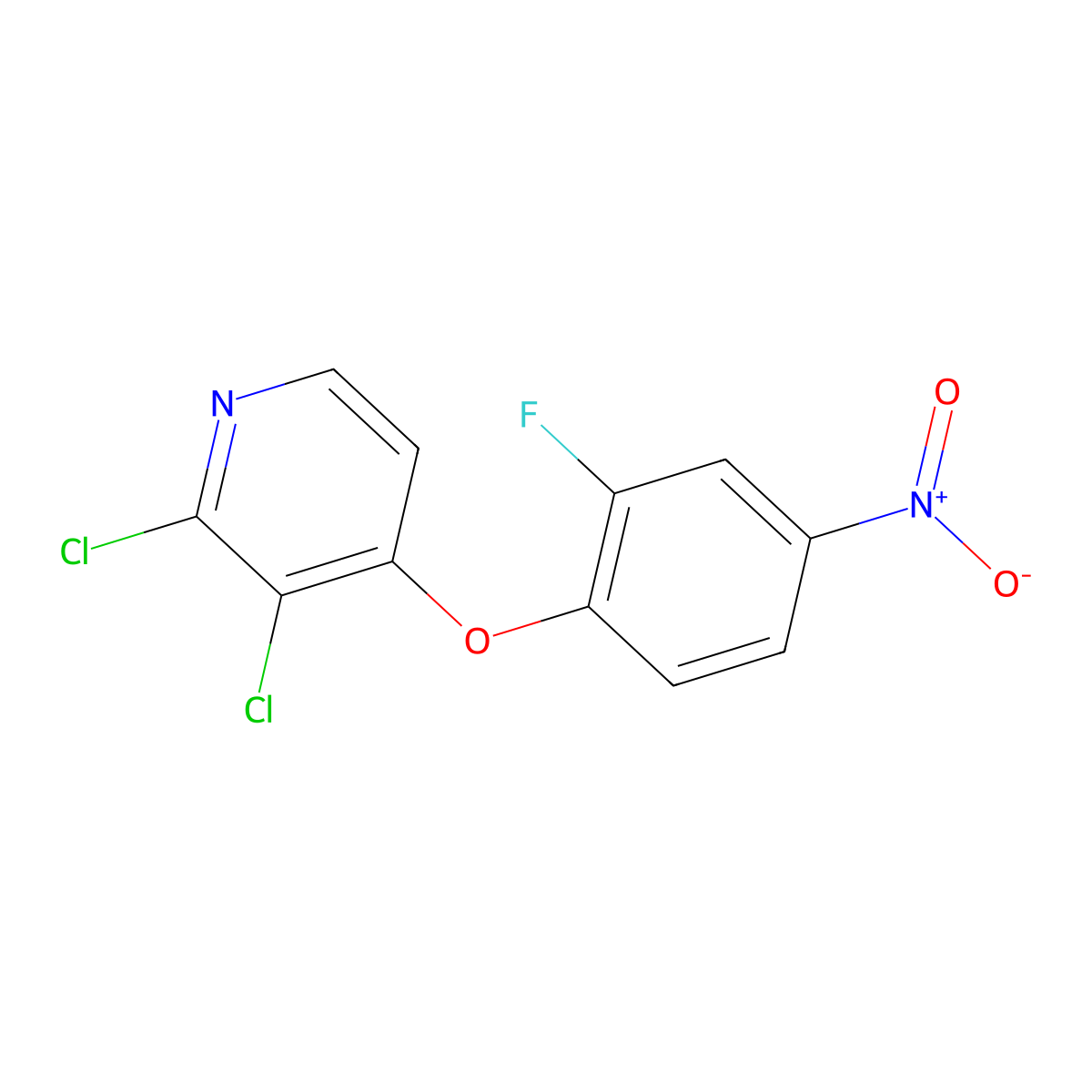2,3-Dichloro-4-(2-fluoro-4-nitrophenoxy)pyridine molecular structure, CAS 1174047-09-6