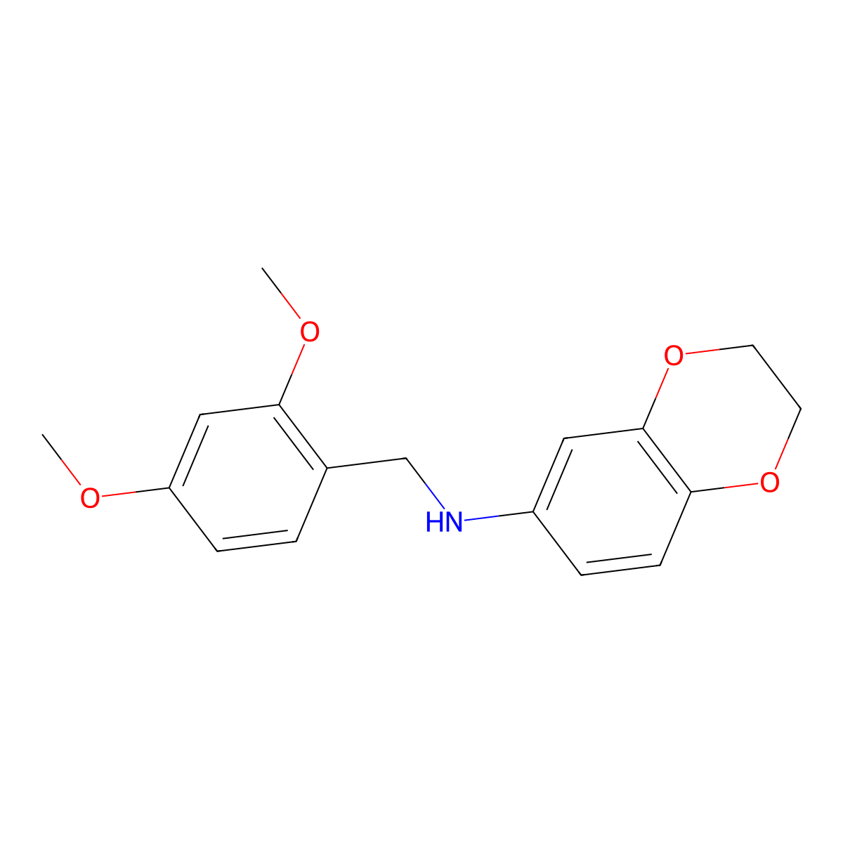 N-[(2,4-dimethoxyphenyl)methyl]-2,3-dihydro-1,4-benzodioxin-6-amine molecular structure, CAS 1175951-97-9
