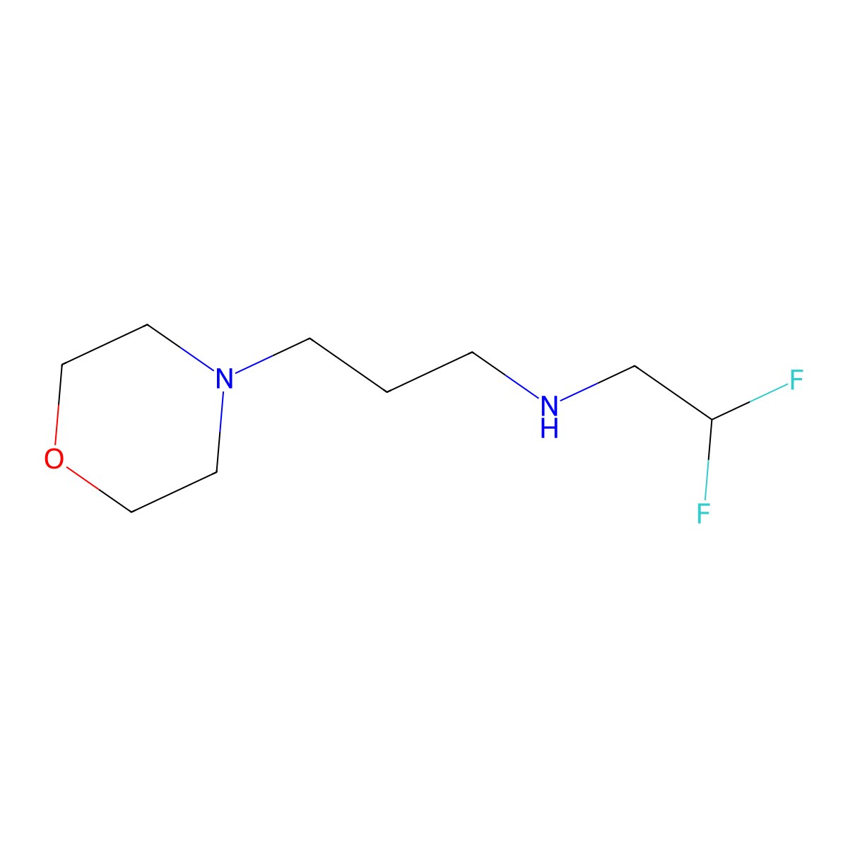 (2,2-Difluoroethyl)[3-(morpholin-4-yl)propyl]amine molecular structure, CAS 1178130-12-5