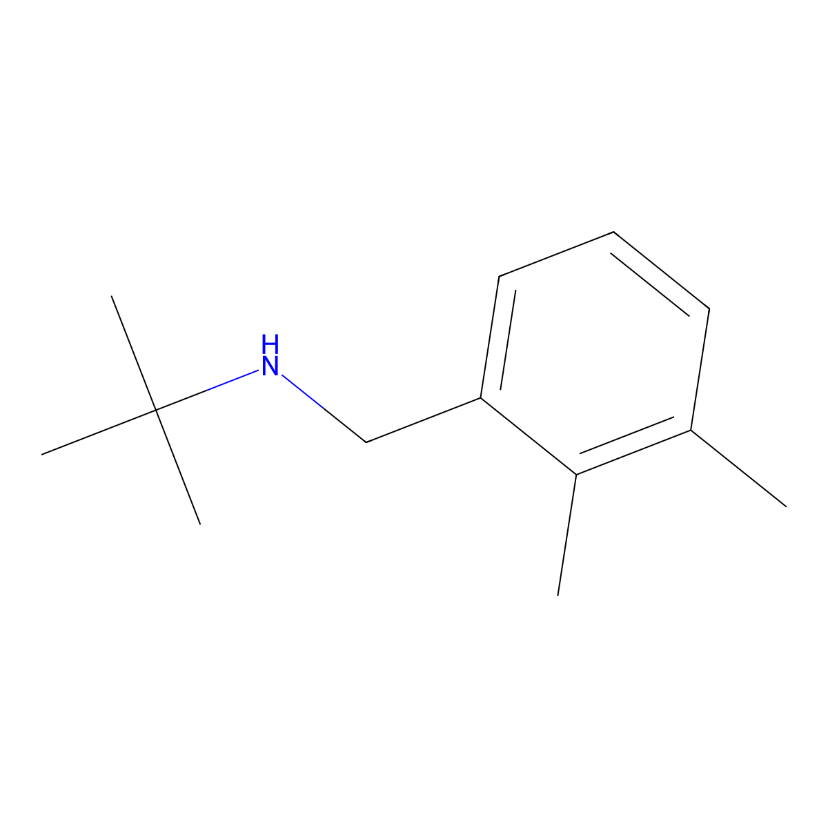 Tert-butyl[(2,3-dimethylphenyl)methyl]amine molecular structure, CAS 1178341-02-0