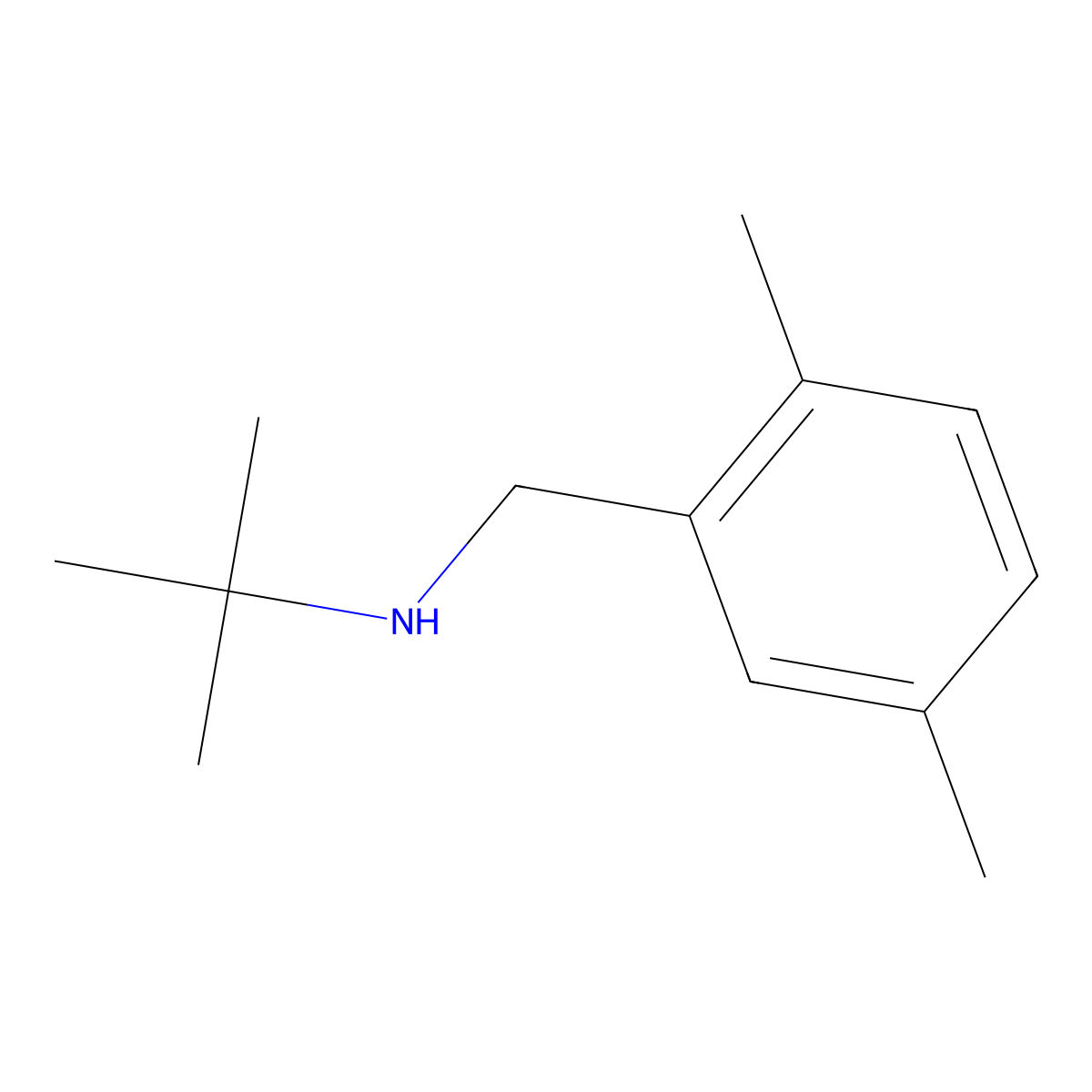Tert-butyl[(2,5-dimethylphenyl)methyl]amine molecular structure, CAS 1178469-05-0