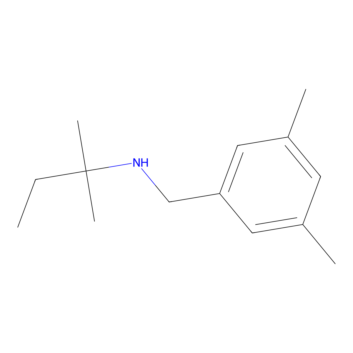 [(3,5-Dimethylphenyl)methyl](2-methylbutan-2-yl)amine molecular structure, CAS 1178708-07-0