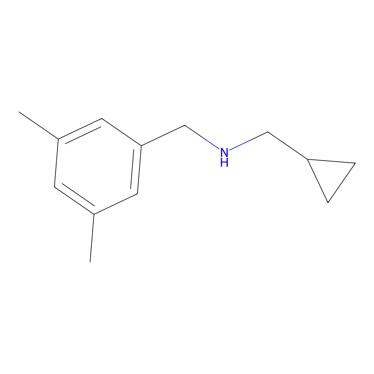 (Cyclopropylmethyl)[(3,5-dimethylphenyl)methyl]amine molecular structure, CAS 1179018-14-4