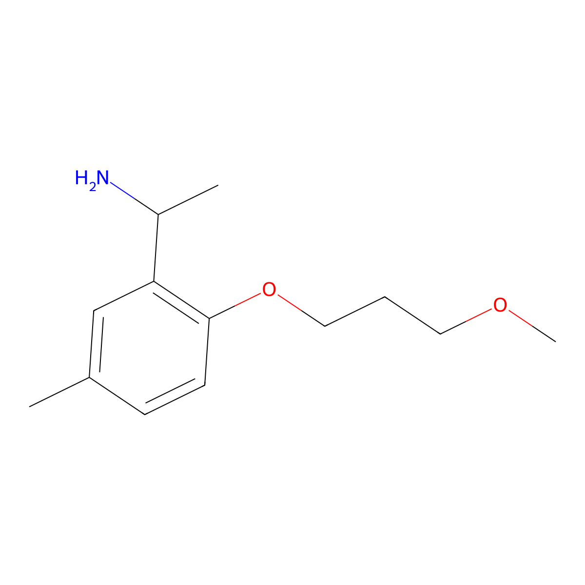 1-[2-(3-Methoxy-propoxy)-5-methyl-phenyl]-ethylamine molecular structure, CAS 1179076-17-5