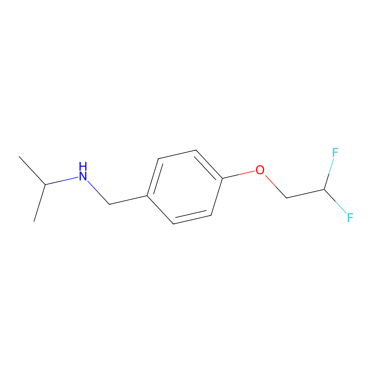 [4-(2,2-Difluoroethoxy)benzyl]isopropylamine molecular structure, CAS 1179092-12-6