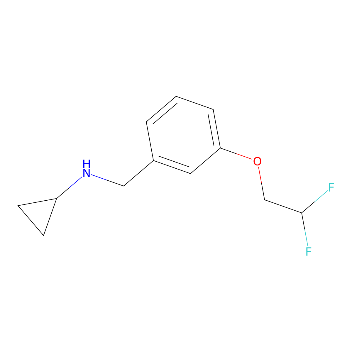 N-(3-(2,2-Difluoroethoxy)benzyl)cyclopropanamine molecular structure, CAS 1179136-66-3