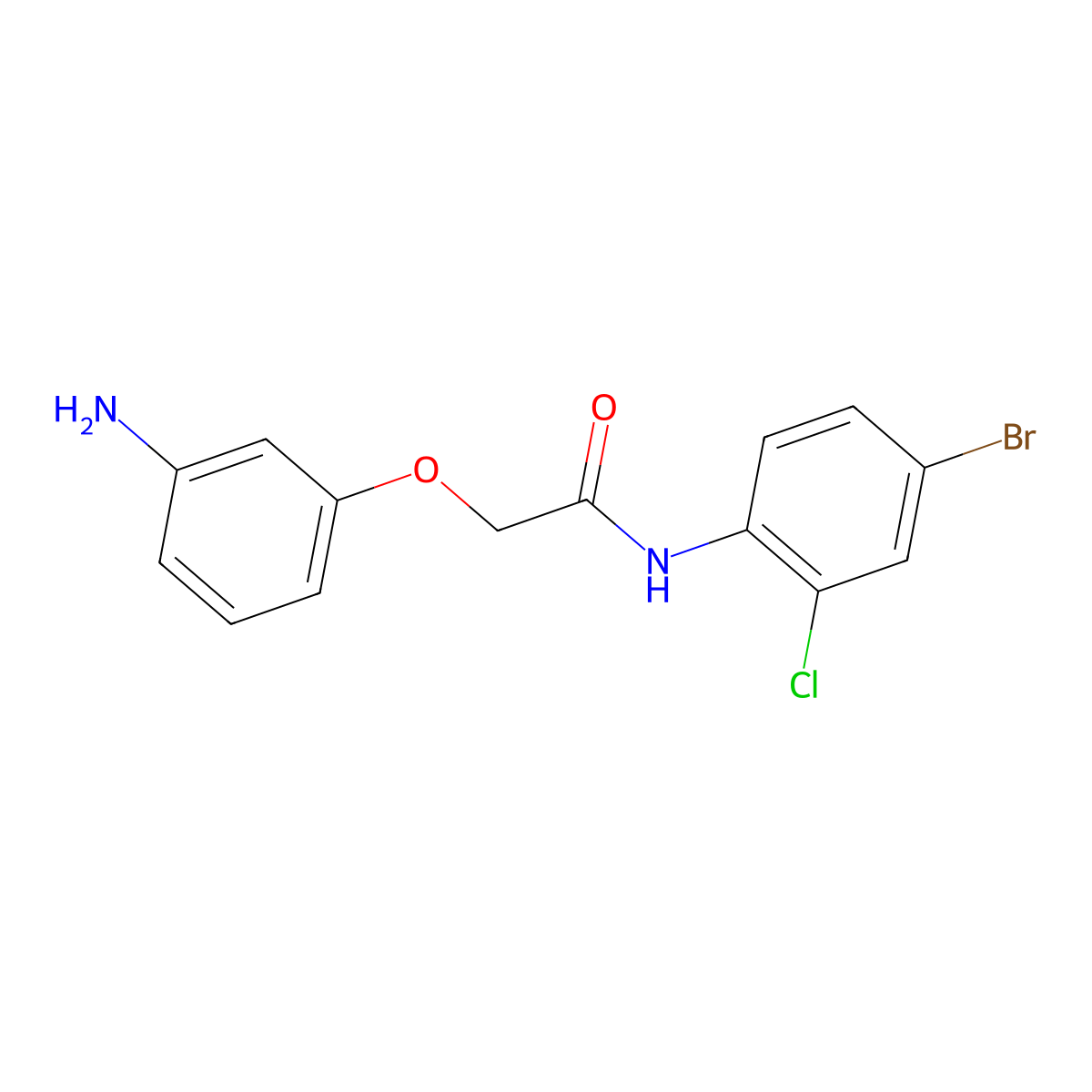 2-(3-aminophenoxy)-N-(4-bromo-2-chlorophenyl)acetamide molecular structure, CAS 1179511-39-7