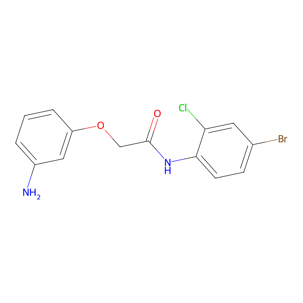 2-(3-aminophenoxy)-N-(4-bromo-2-chlorophenyl)acetamide molecular structure, CAS 1179511-39-7
