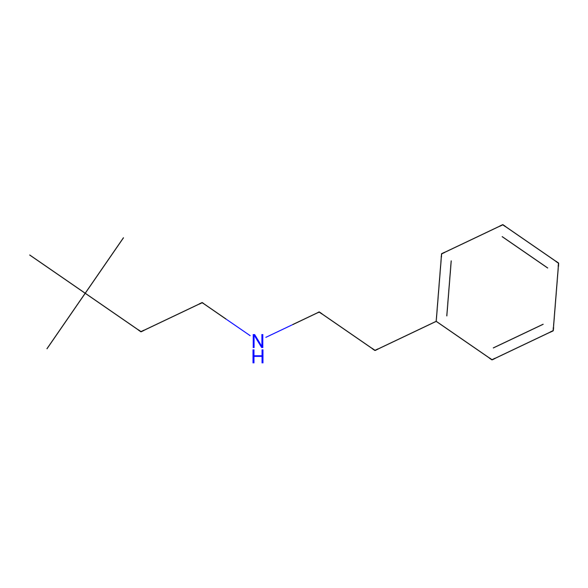 3,3-dimethyl-N-phenethylbutan-1-amine molecular structure, CAS 1179695-25-0
