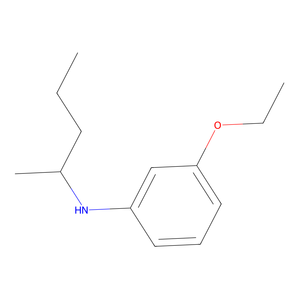 3-Ethoxy-N-(pentan-2-yl)aniline molecular structure, CAS 1179863-69-4