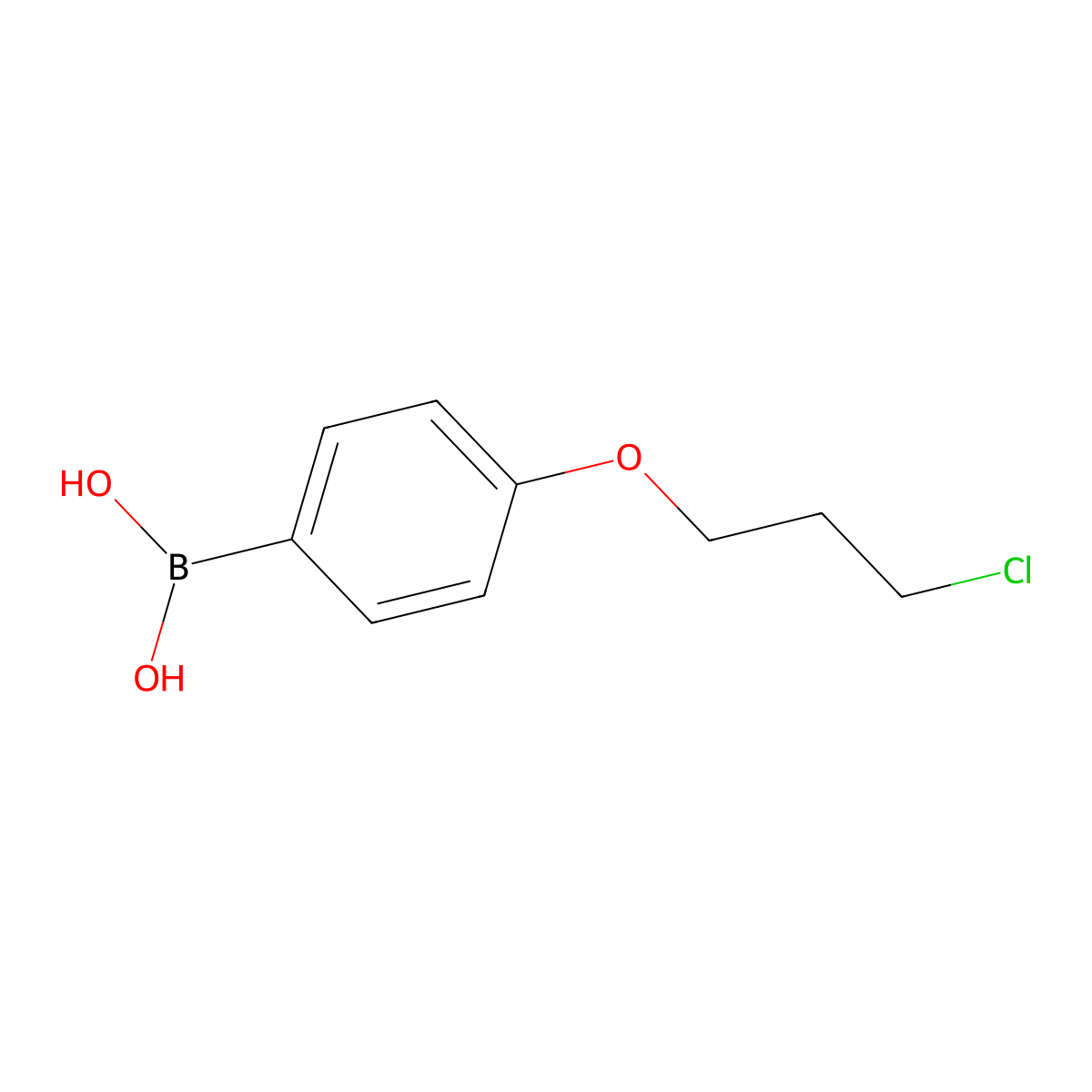 (4-(3-Chloropropoxy)phenyl)boronic acid molecular structure, CAS 1182283-83-5