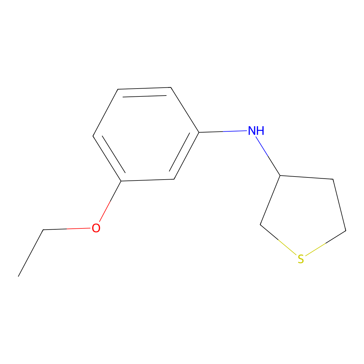 N-(3-ethoxyphenyl)thiolan-3-amine molecular structure, CAS 1183060-60-7