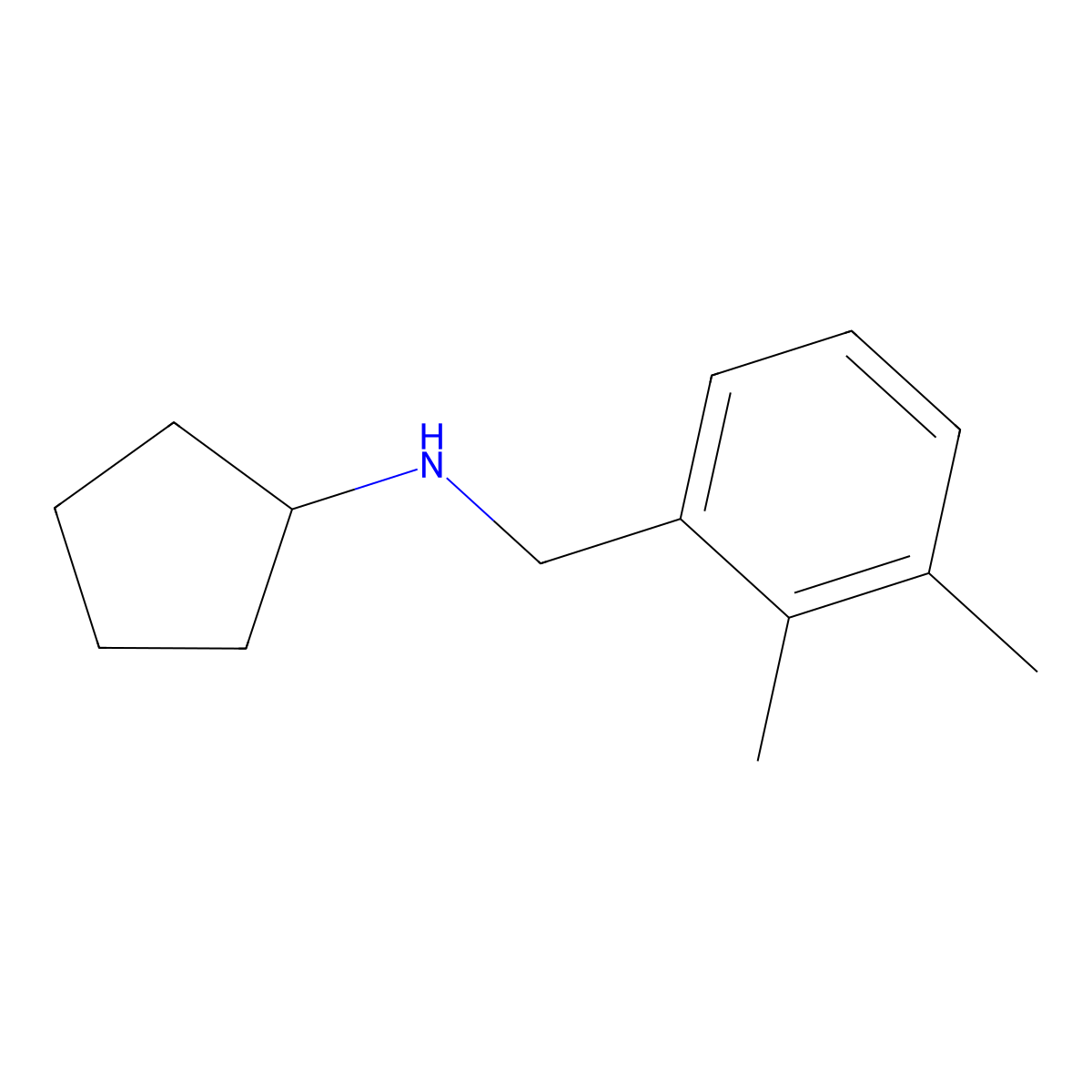 N-[(2,3-dimethylphenyl)methyl]cyclopentanamine molecular structure, CAS 1184286-32-5