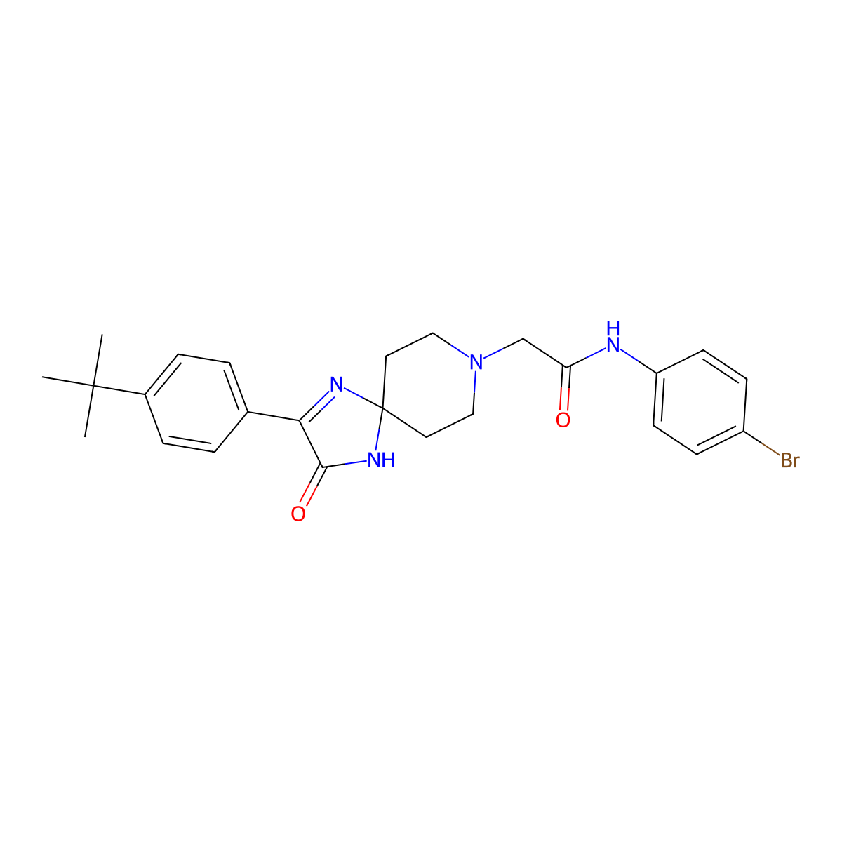 N-(4-bromophenyl)-2-[2-(4-tert-butylphenyl)-3-oxo-1,4,8-triazaspiro[4.5]dec-1-en-8-yl]acetamide molecular structure, CAS 1189511-34-9