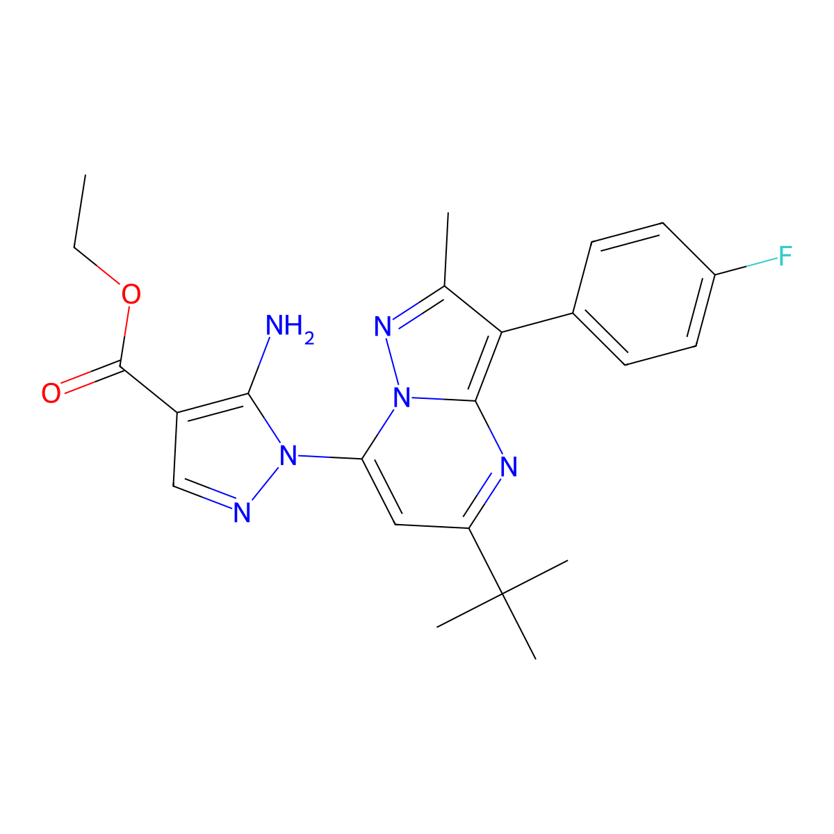 ethyl 5-amino-1-[5-tert-butyl-3-(4-fluorophenyl)-2-methylpyrazolo[1,5-a]pyrimidin-7-yl]-1H-pyrazole-4-carboxylate molecular structure, CAS 1189717-05-2