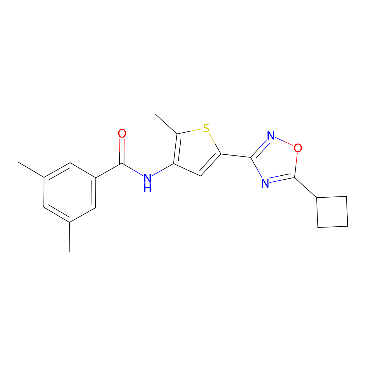 N-[5-(5-cyclobutyl-1,2,4-oxadiazol-3-yl)-2-methyl-3-thienyl]-3,5-dimethylbenzamide molecular structure, CAS 1189886-70-1