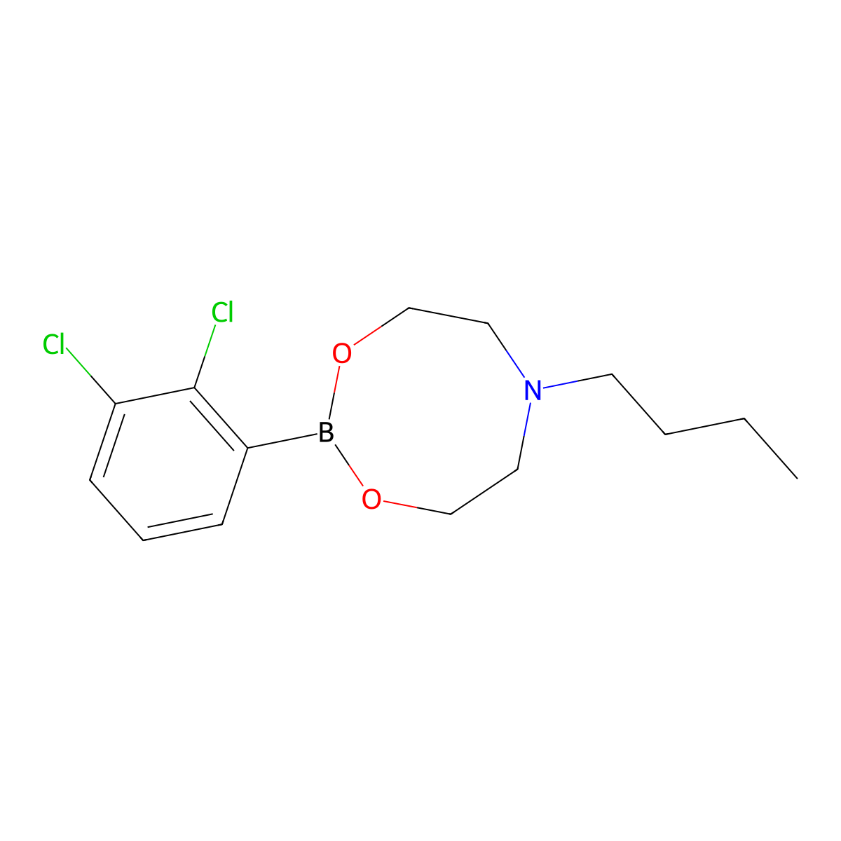 6-Butyl-2-(2,3-dichlorophenyl)-1,3,6,2-dioxazaborocane molecular structure, CAS 1190989-04-8