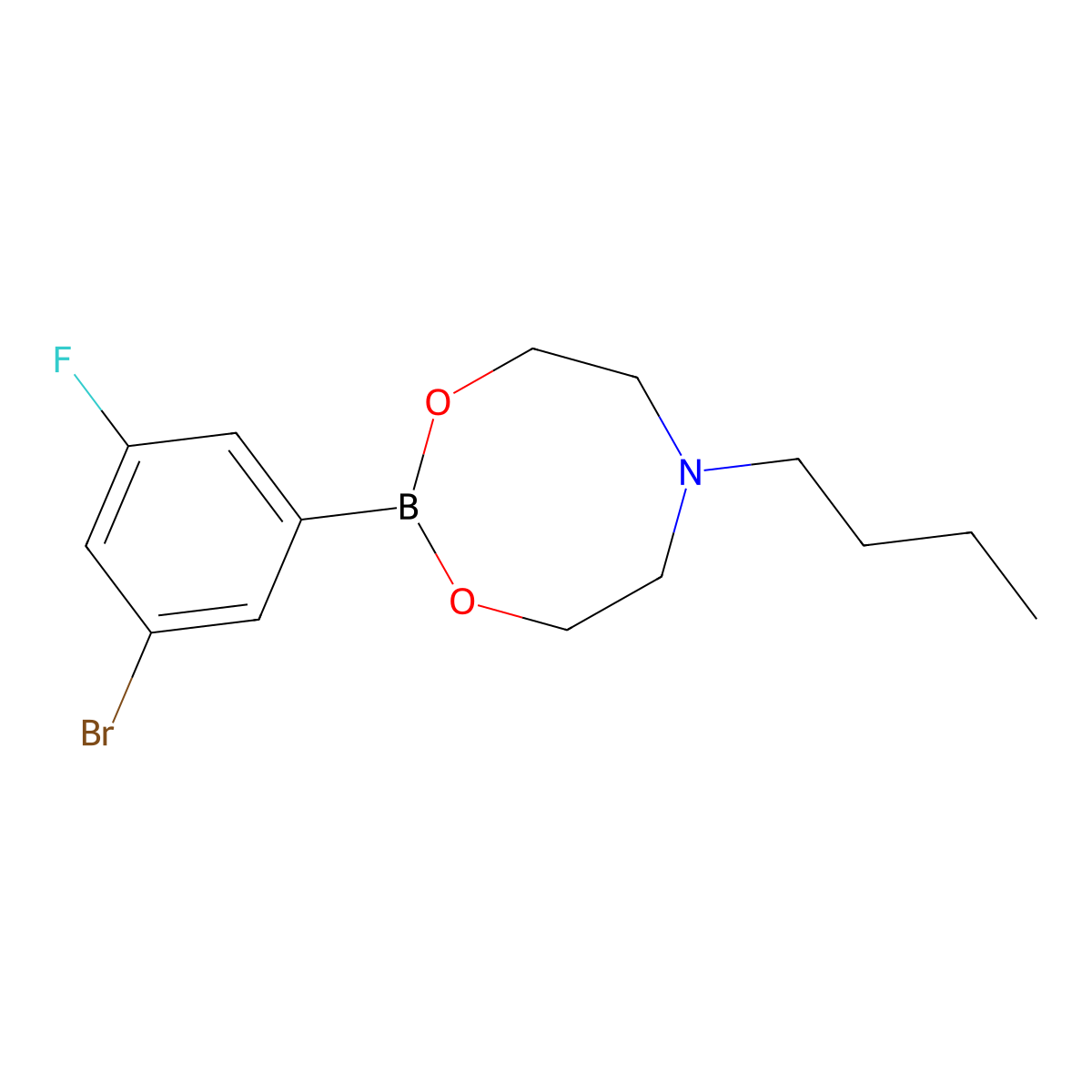 2-(3-Bromo-5-fluorophenyl)-6-butyl-1,3,6,2-dioxazaborocane molecular structure, CAS 1190989-06-0