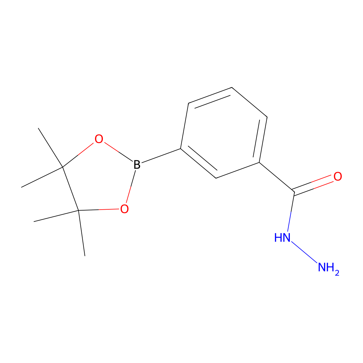 3-(4,4,5,5-Tetramethyl-1,3,2-dioxaborolan-2-yl)benzohydrazide molecular structure, CAS 1191063-60-1