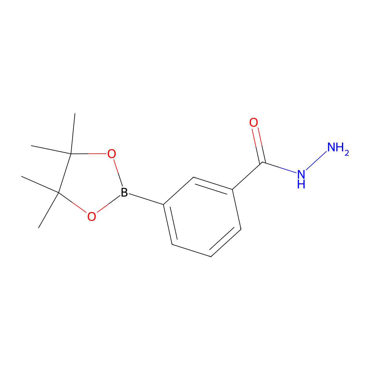 3-(4,4,5,5-Tetramethyl-1,3,2-dioxaborolan-2-yl)benzohydrazide molecular structure, CAS 1191063-60-1