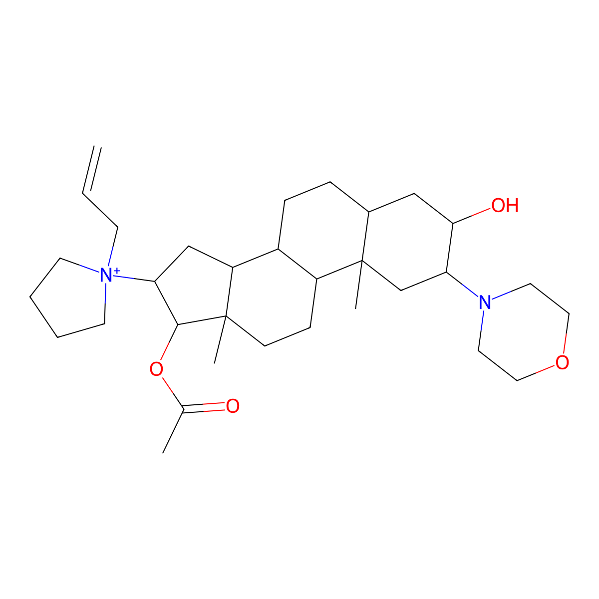 Rocuronium molecular structure, CAS 119302-91-9