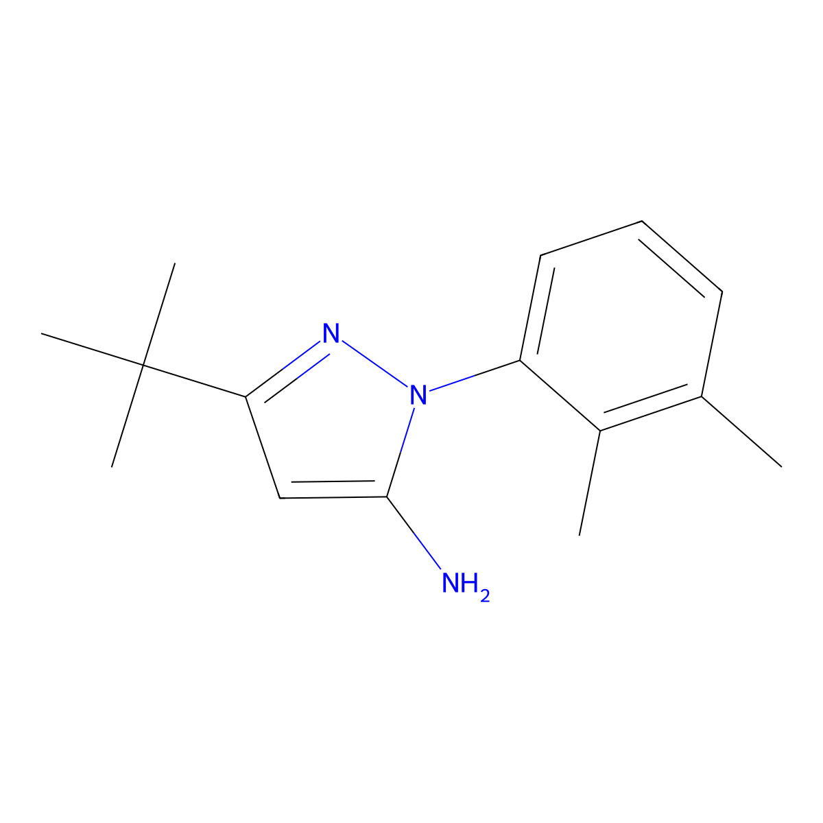3-tert-Butyl-1-(2,3-dimethylphenyl)-1H-pyrazol-5-amine molecular structure, CAS 1193155-46-2