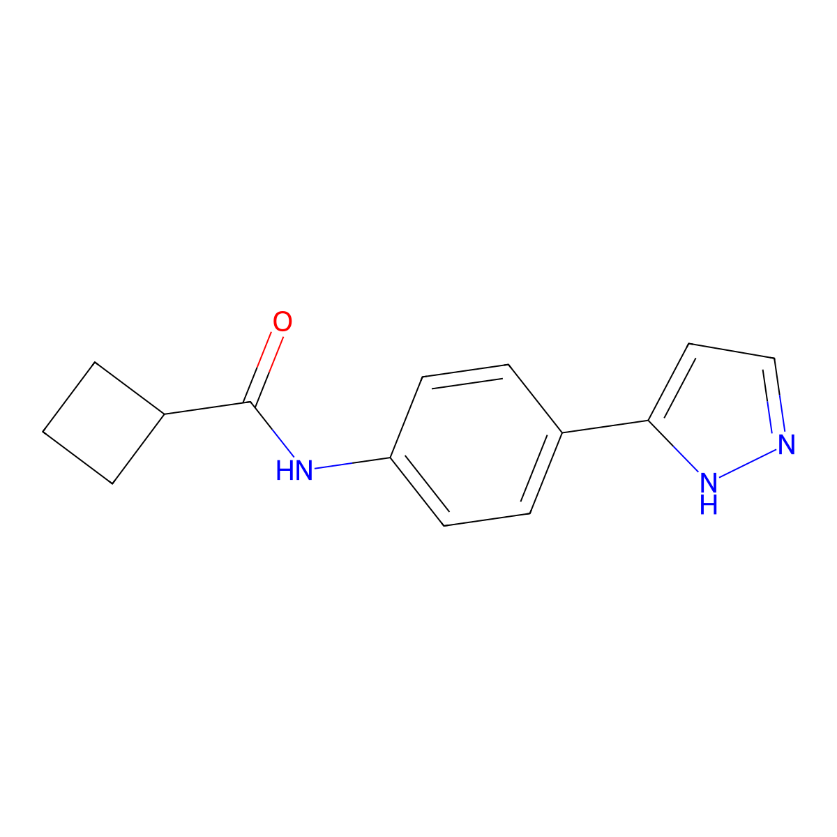 N-[4-(1H-pyrazol-3-yl)phenyl]cyclobutanecarboxamide molecular structure, CAS 1197979-54-6