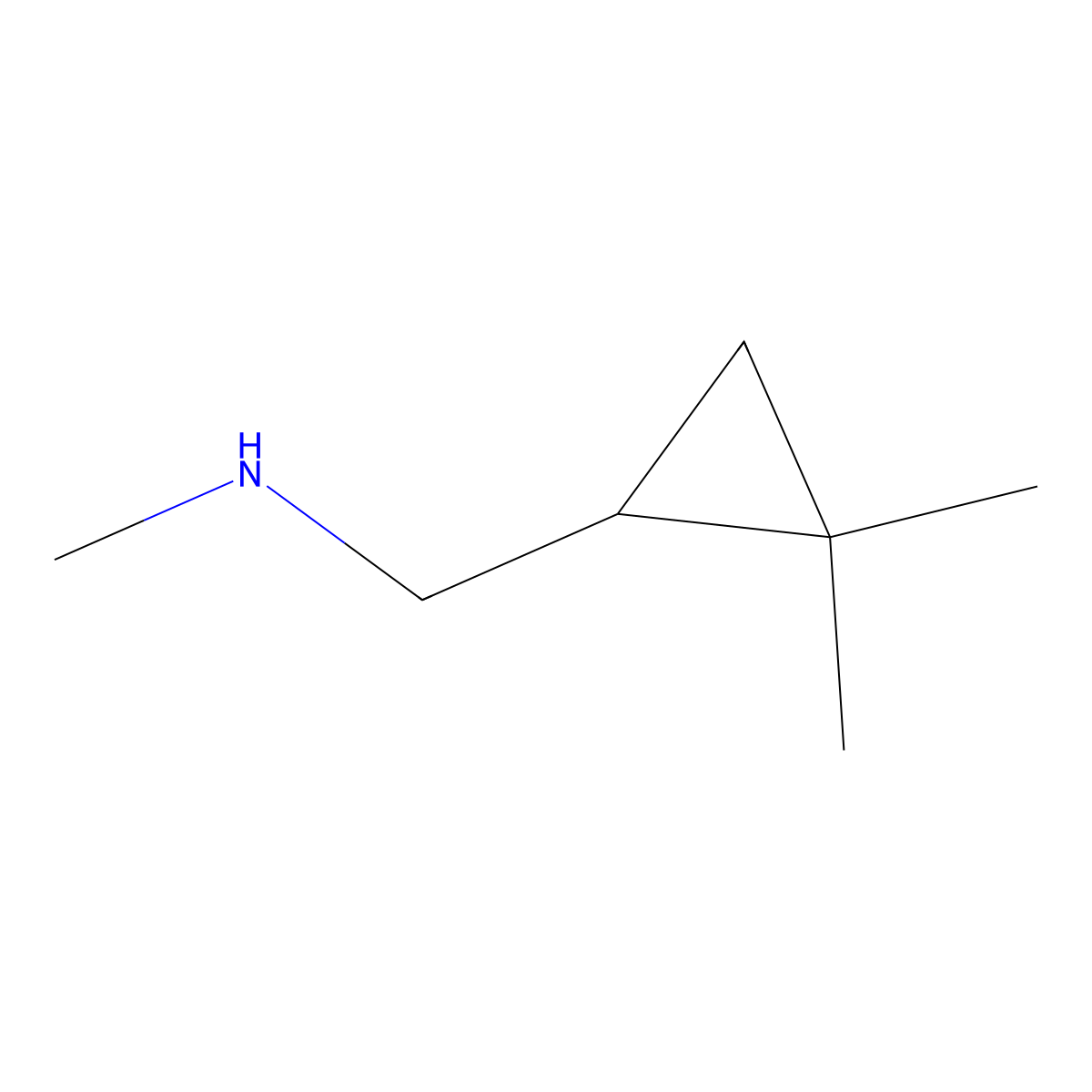 1-(2,2-Dimethylcyclopropyl)-N-methylmethanamine molecular structure, CAS 1199779-11-7