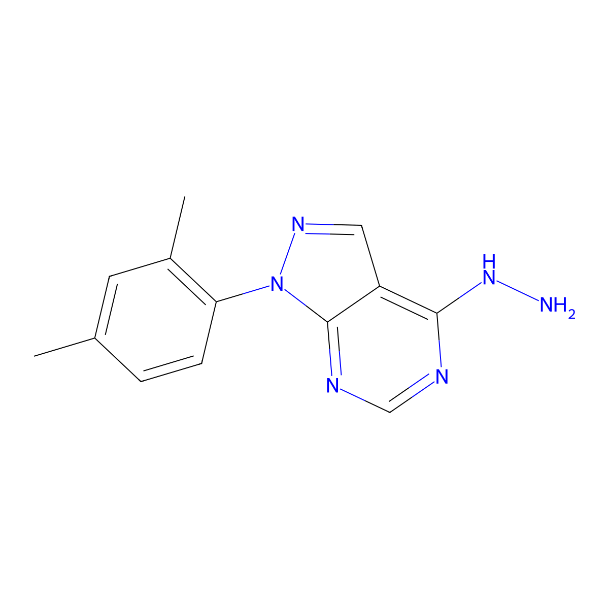 1-(2,4-Dimethylphenyl)-4-hydrazinyl-1H-pyrazolo[3,4-d]pyrimidine molecular structure, CAS 1203051-73-3
