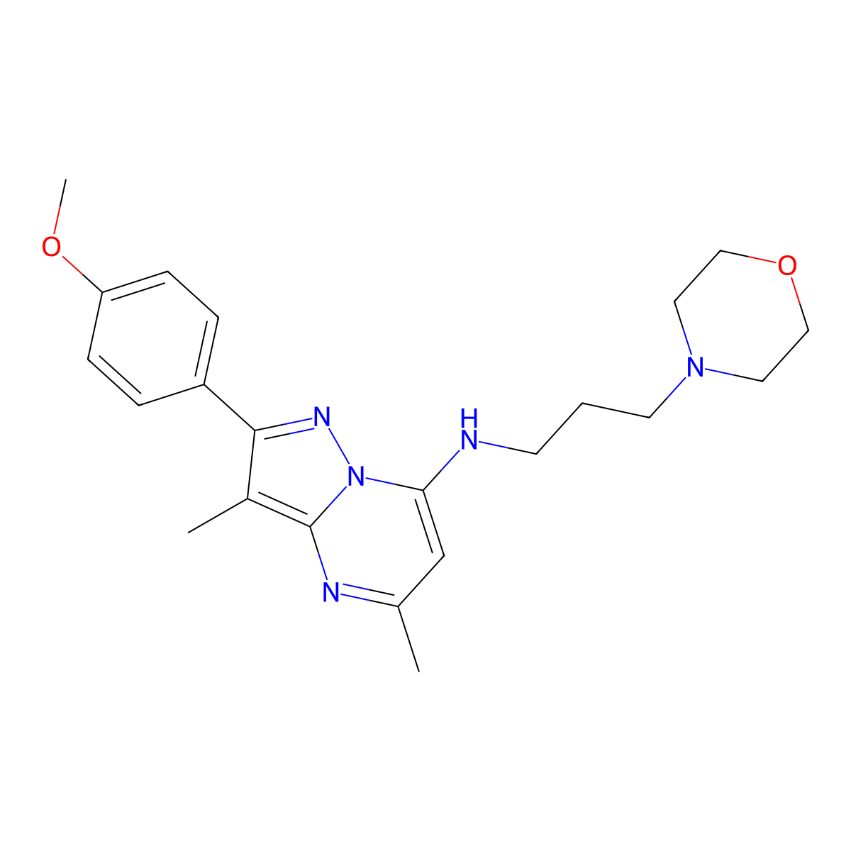 2-(4-methoxyphenyl)-3,5-dimethyl-N-(3-morpholin-4-ylpropyl)pyrazolo[1,5-a]pyrimidin-7-amine molecular structure, CAS 1203063-80-2