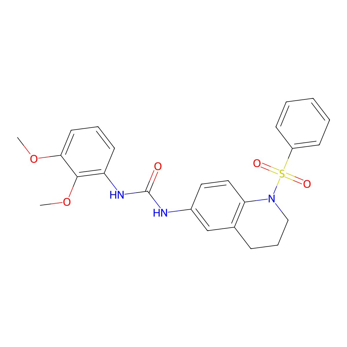3-[1-(Benzenesulfonyl)-1,2,3,4-tetrahydroquinolin-6-yl]-1-(2,3-dimethoxyphenyl)urea molecular structure, CAS 1203126-21-9