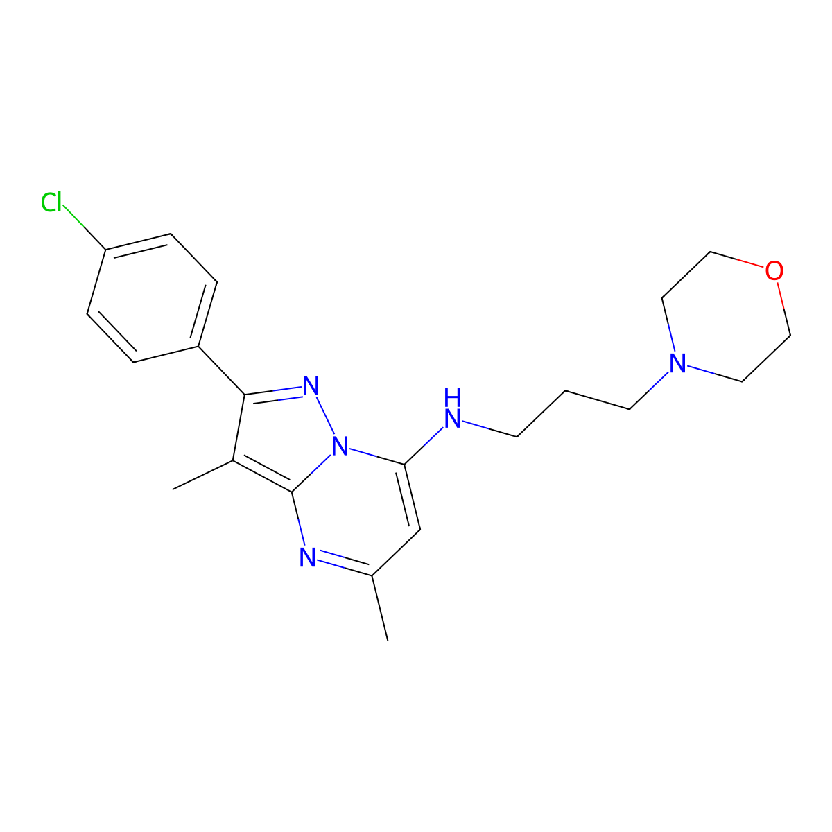 2-(4-chlorophenyl)-3,5-dimethyl-N-[3-(morpholin-4-yl)propyl]pyrazolo[1,5-a]pyrimidin-7-amine molecular structure, CAS 1203142-18-0