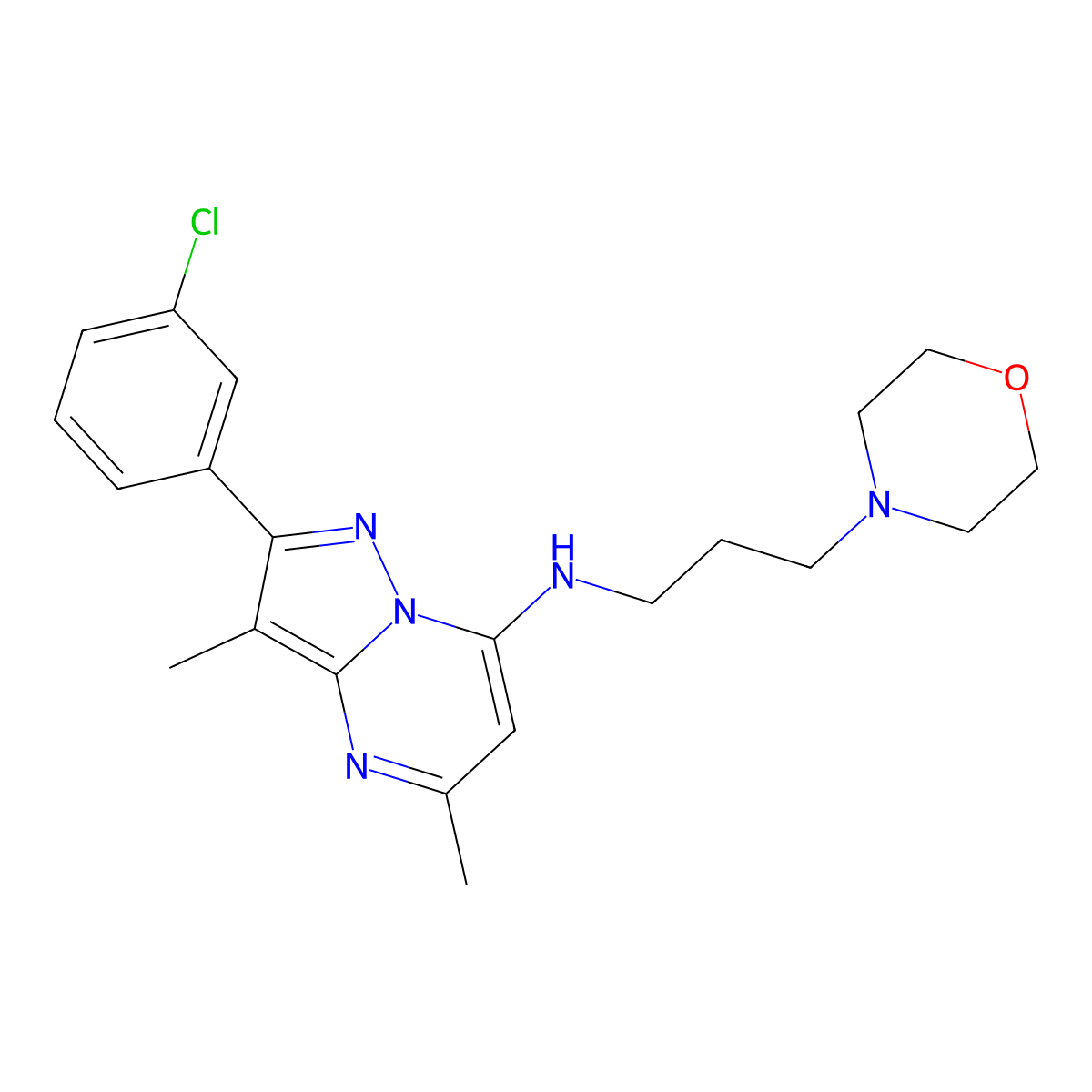 2-(3-chlorophenyl)-3,5-dimethyl-N-[3-(morpholin-4-yl)propyl]pyrazolo[1,5-a]pyrimidin-7-amine molecular structure, CAS 1203159-87-8