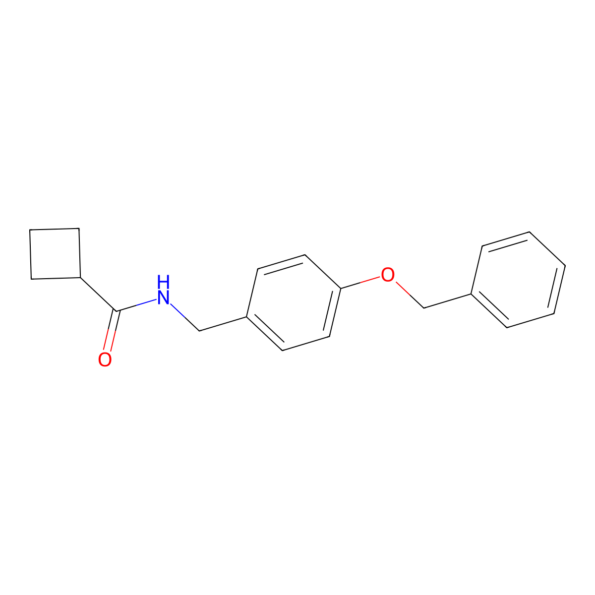 N-(4-(benzyloxy)benzyl)cyclobutanecarboxamide molecular structure, CAS 1203234-34-7