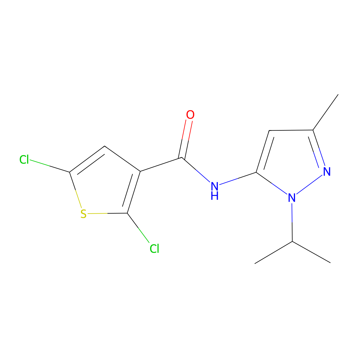 2,5-dichloro-N-(1-isopropyl-3-methyl-1H-pyrazol-5-yl)thiophene-3-carboxamide molecular structure, CAS 1203411-70-4