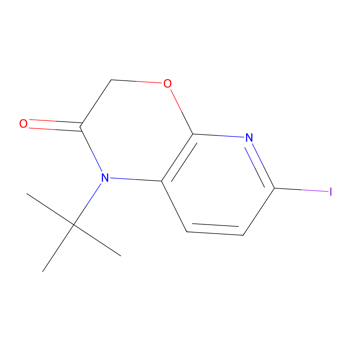 1-tert-Butyl-6-iodo-1H-pyrido[2,3-b][1,4]oxazin-2(3H)-one molecular structure, CAS 1203499-26-6