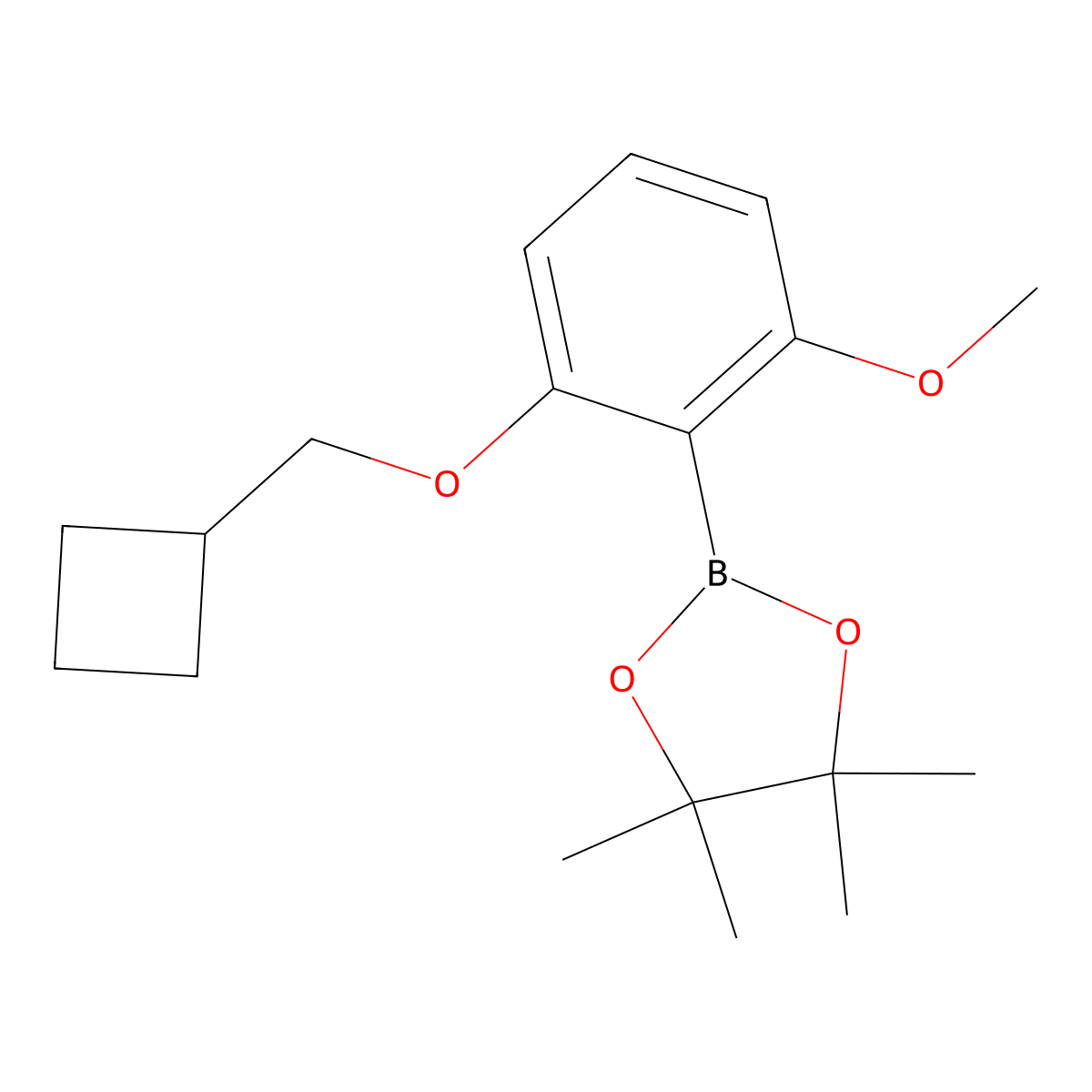 2-[2-(Cyclobutylmethoxy)-6-methoxyphenyl]-4,4,5,5-tetramethyl-1,3,2-dioxaborolane molecular structure, CAS 1204580-86-8
