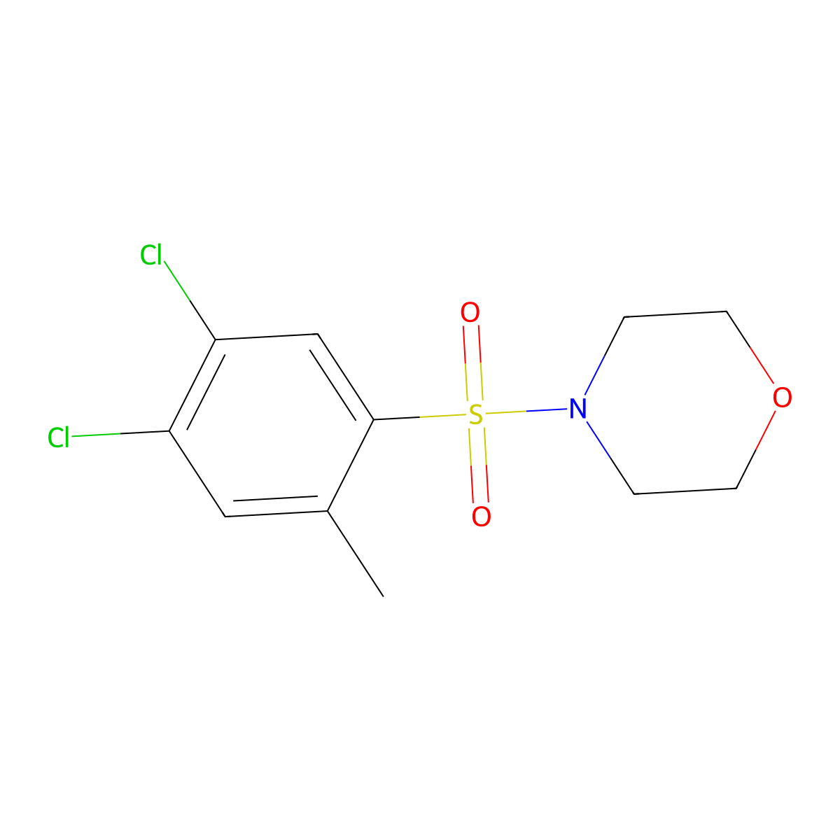 4-(4,5-Dichloro-2-methylbenzenesulfonyl)morpholine molecular structure, CAS 1206098-19-2