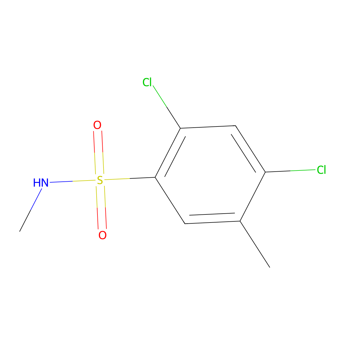 2,4-dichloro-N,5-dimethylbenzenesulfonamide molecular structure, CAS 1206117-07-8