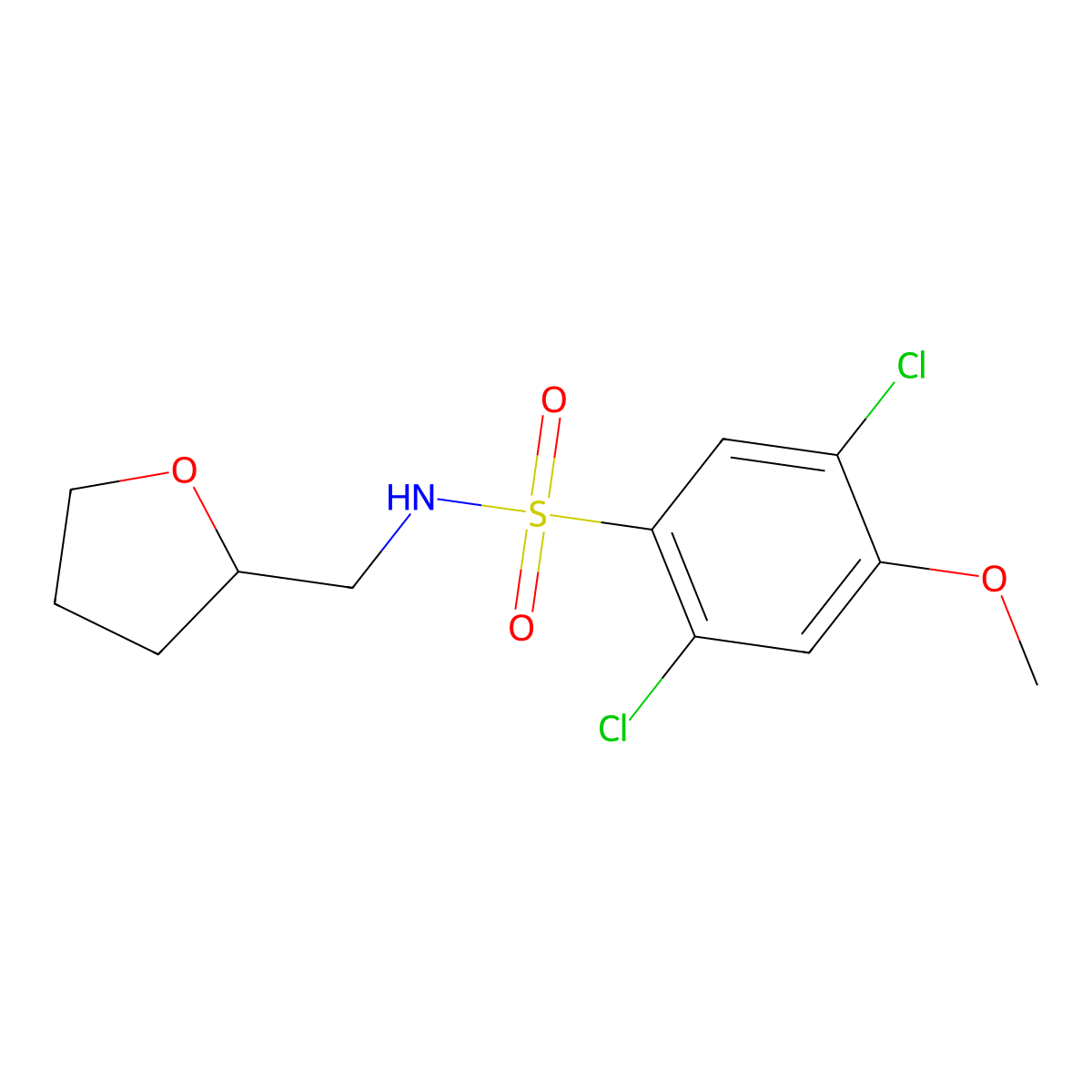[(2,5-Dichloro-4-methoxyphenyl)sulfonyl](oxolan-2-ylmethyl)amine molecular structure, CAS 1206133-24-5