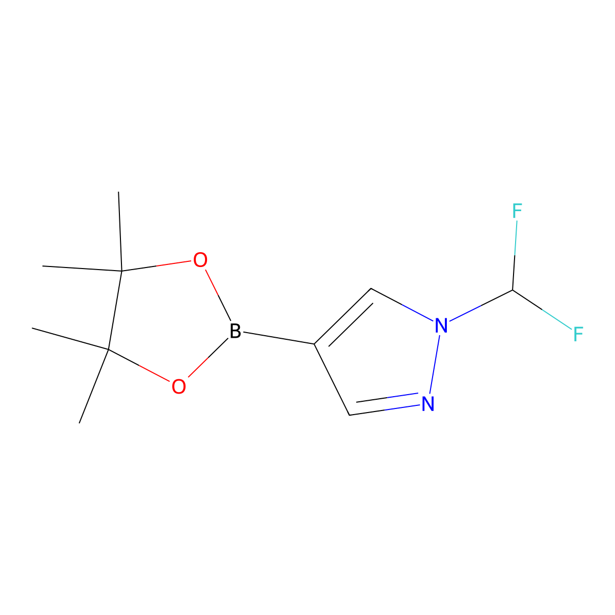 1-(difluoromethyl)-4-(tetramethyl-1,3,2-dioxaborolan-2-yl)-1H-pyrazole molecular structure, CAS 1206640-82-5