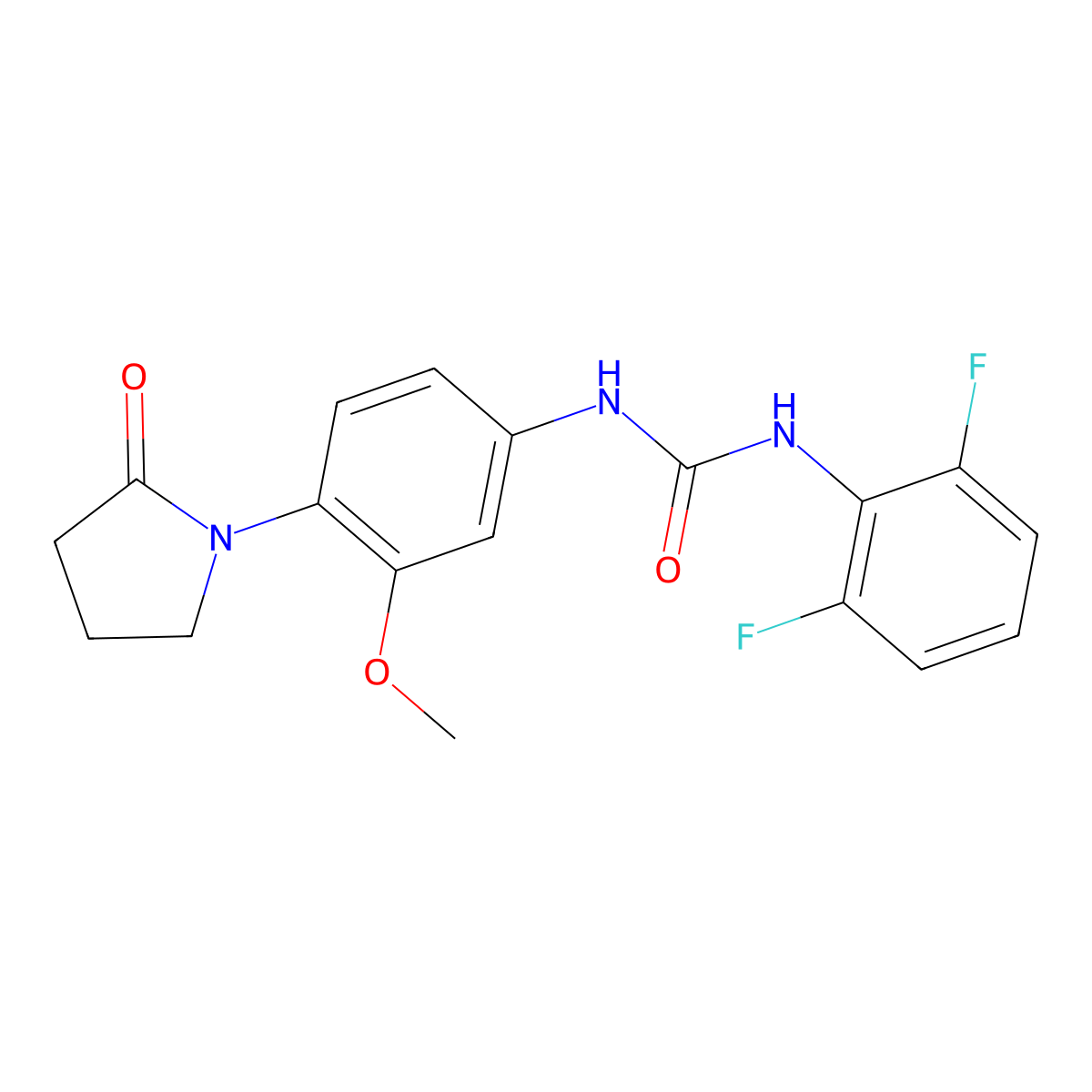 1-(2,6-Difluorophenyl)-3-[3-methoxy-4-(2-oxopyrrolidin-1-yl)phenyl]urea molecular structure, CAS 1206985-04-7
