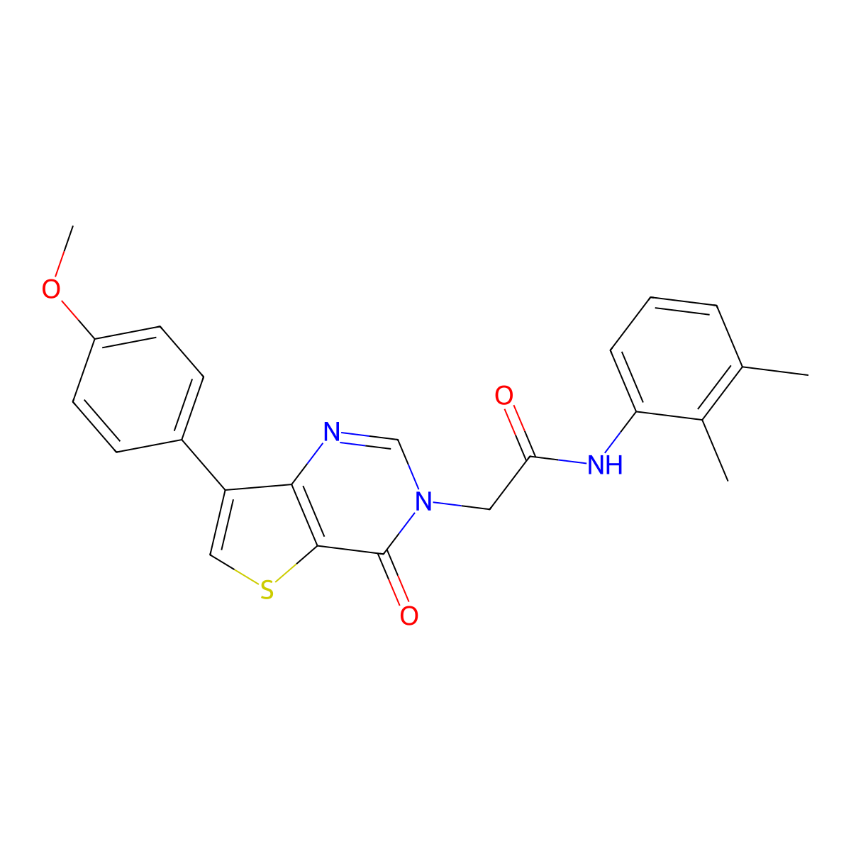 N-(2,3-dimethylphenyl)-2-[7-(4-methoxyphenyl)-4-oxothieno[3,2-d]pyrimidin-3(4H)-yl]acetamide molecular structure, CAS 1207011-85-5