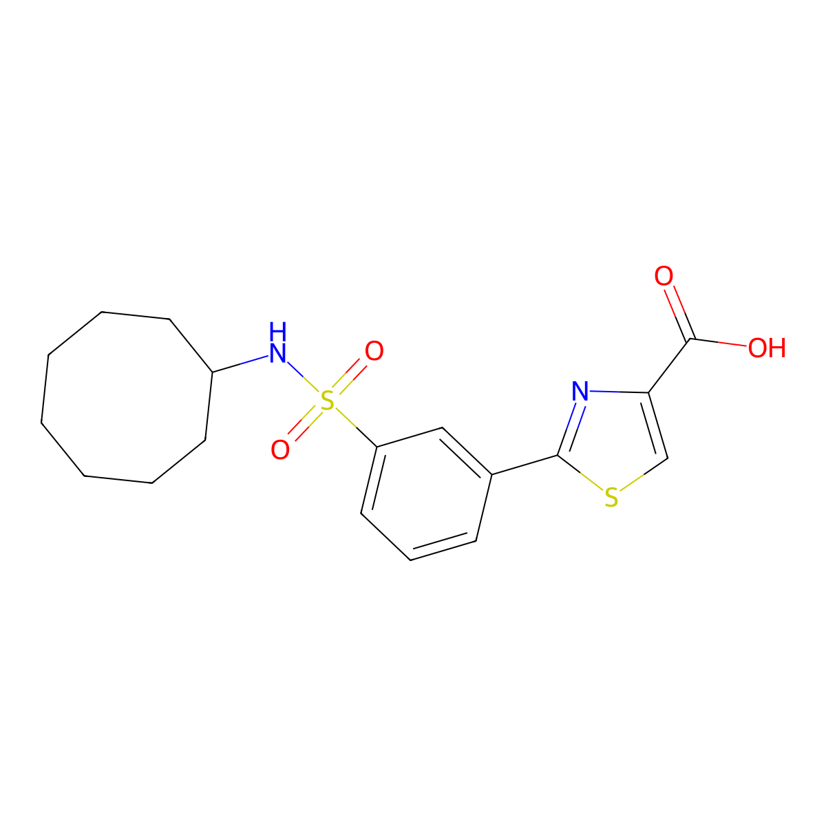 2-[3-(Cyclooctylsulfamoyl)phenyl]-1,3-thiazole-4-carboxylic acid molecular structure, CAS 1208712-29-1