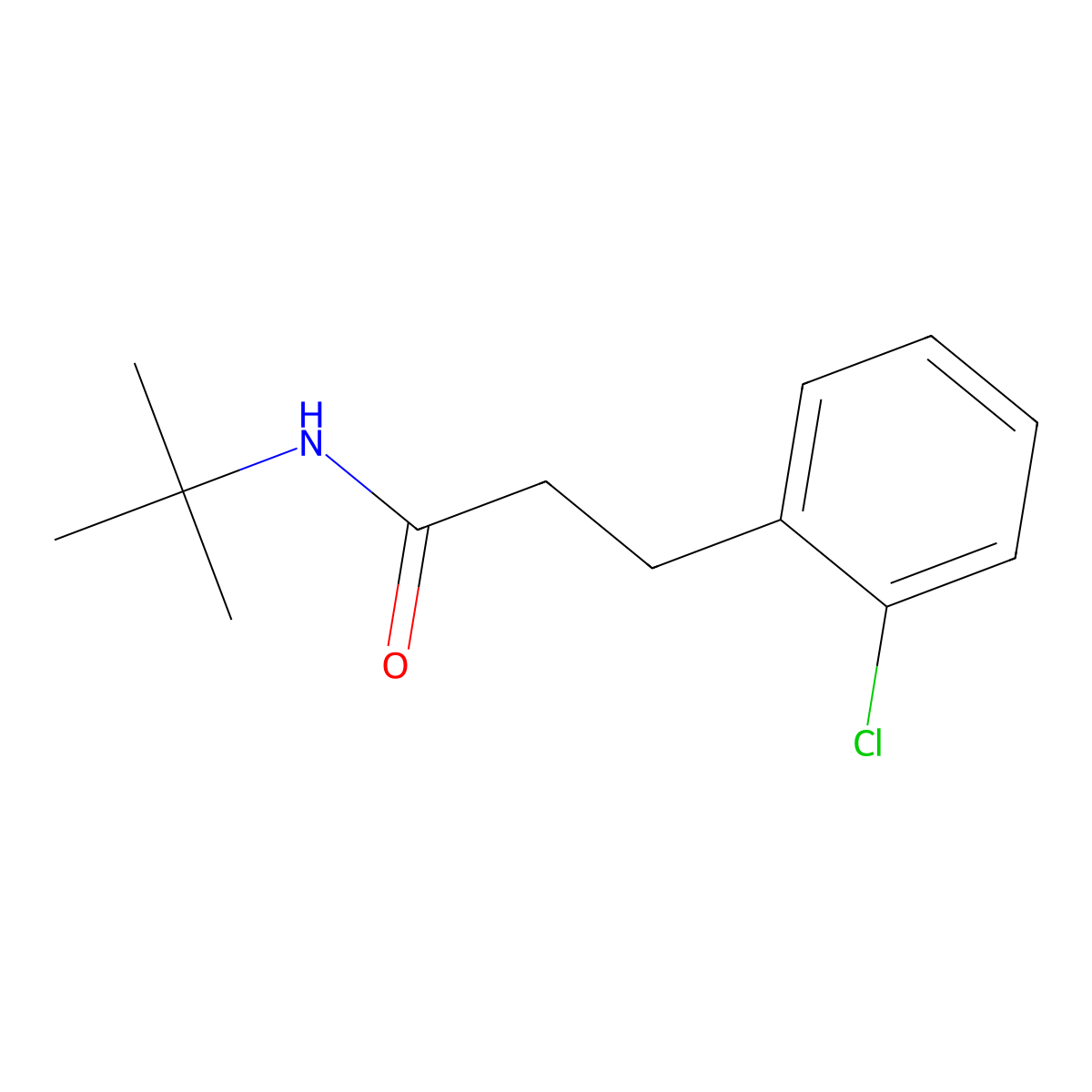 N-tert-butyl-3-(2-chlorophenyl)propanamide molecular structure, CAS 1209906-24-0